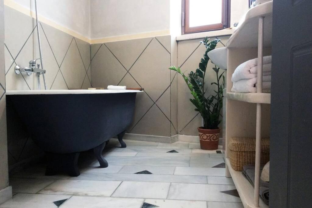 Unique - Spacious Studio With Rooftop / Thissio Atenas Exterior foto